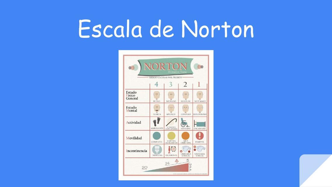 Escala de Norton