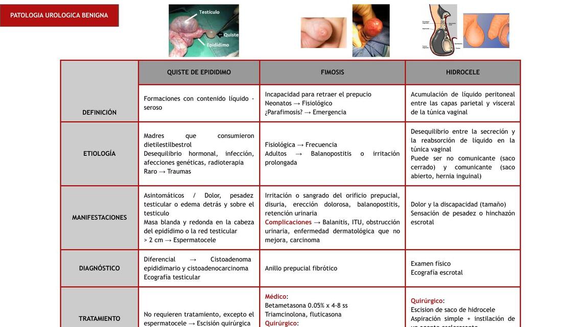 Patología genital benigna 