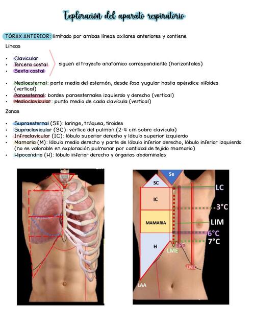 Exploración del aparato respiratorio  