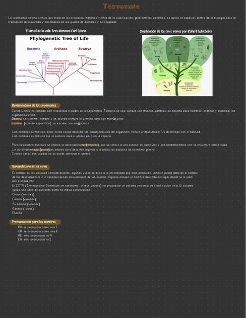 Taxonomía microbiología