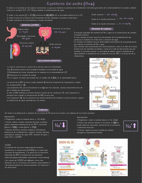 Trastornos en el equilibrio del sodio