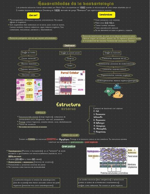 Generalidades De La Bacteriología