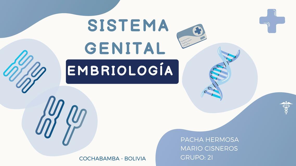 Sistema Genital