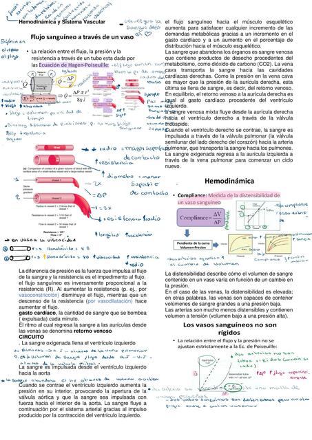 Hemodinámica y Sistema Vascular