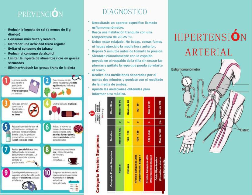 Folleto  Hipertensión  Arterial 