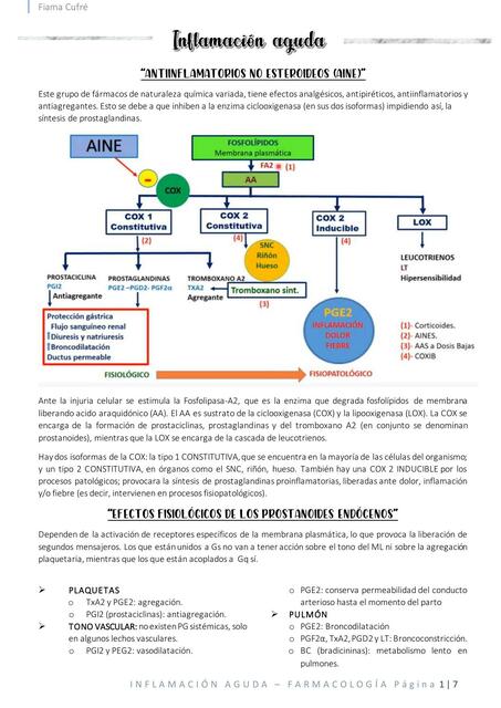 Inflamación Aguda 