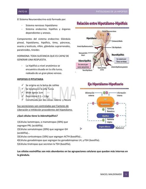Patologías de la Hipófisis 
