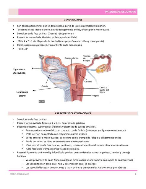 Patologías del Ovario 