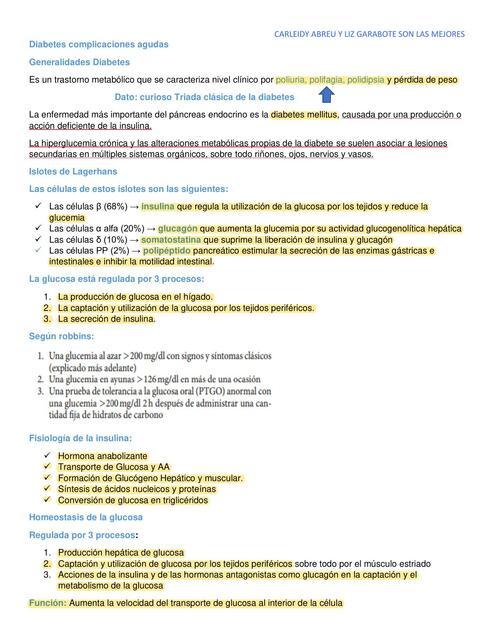 Diabetes Complicaciones Agudas 