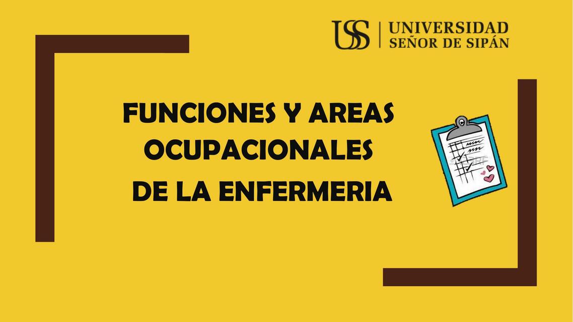 Funciones y áreas ocupacionales de la enfermería 