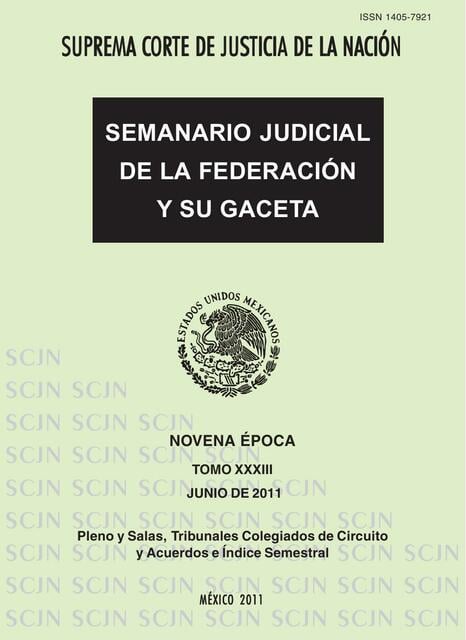 Resúmenes de suprema corte de justicia de la nación | Descarga apuntes ...