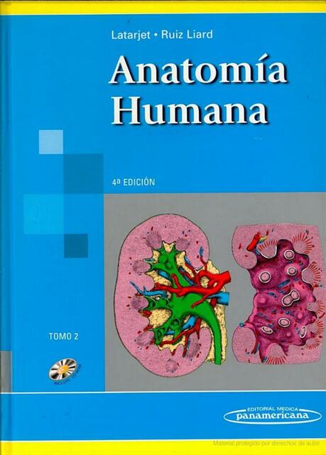 Anatomía Humana Latarjet 4ed Tomo 2