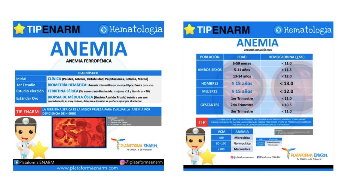 Hematología Flashcards uDocz
