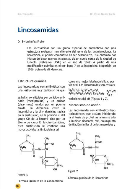 Lincosamidas