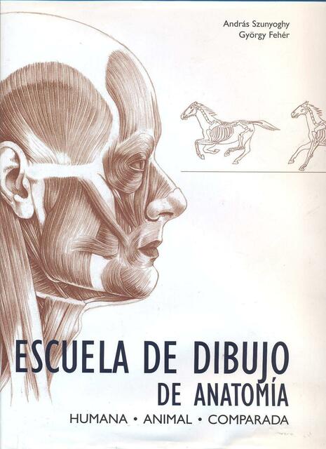 Escuela de Dibujo de Anatomía