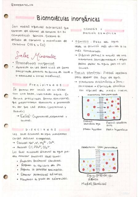 Biomoléculas inorgánicas biología