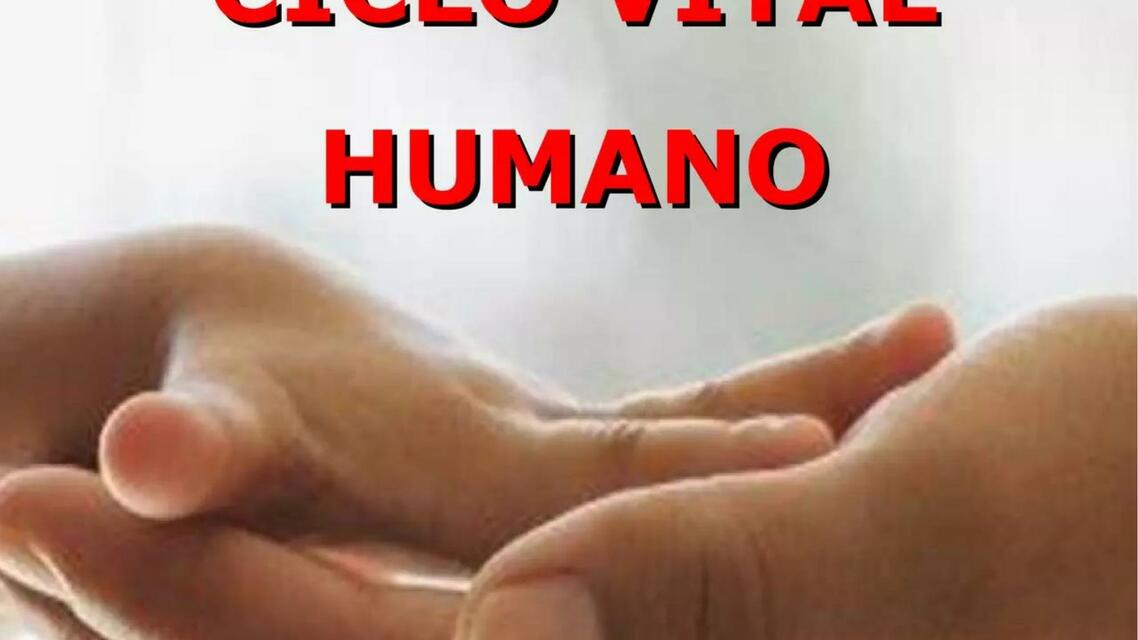 Ciclo Vital Humano 