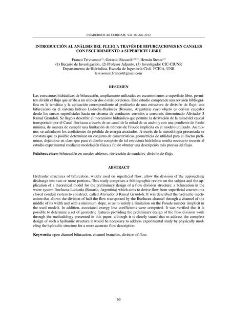 Introducción al Análisis del Flujo a Través de Bifurcadores en Canales con Escurrimiento a Superficie Libre 