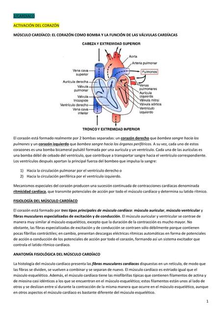 Activación del corazón 