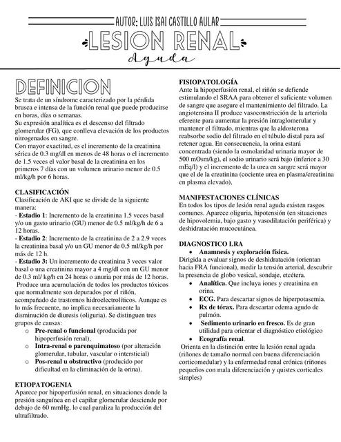 Lesión renal aguda 