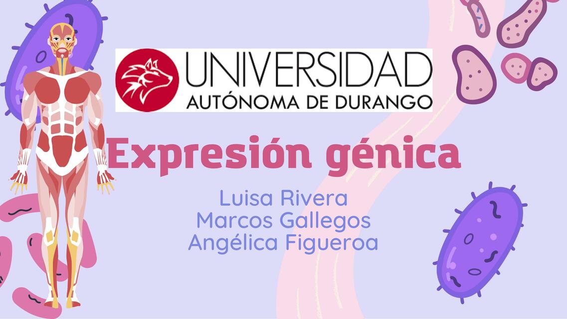 Presentación Biología Cuerpo Humano Células Orgánicas 