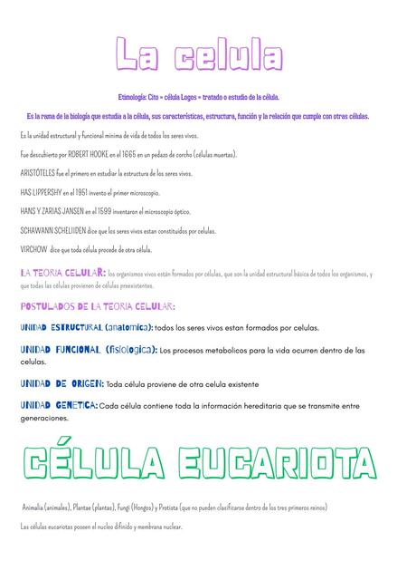 Tipos de célula y su estructura