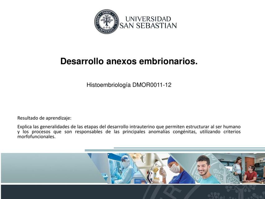 Desarrollo Anexos Embrionarios 