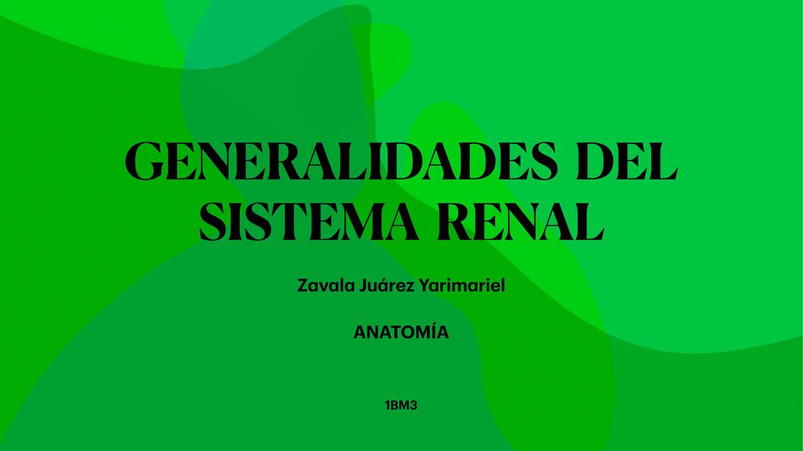 Generalidades del sistema renal 