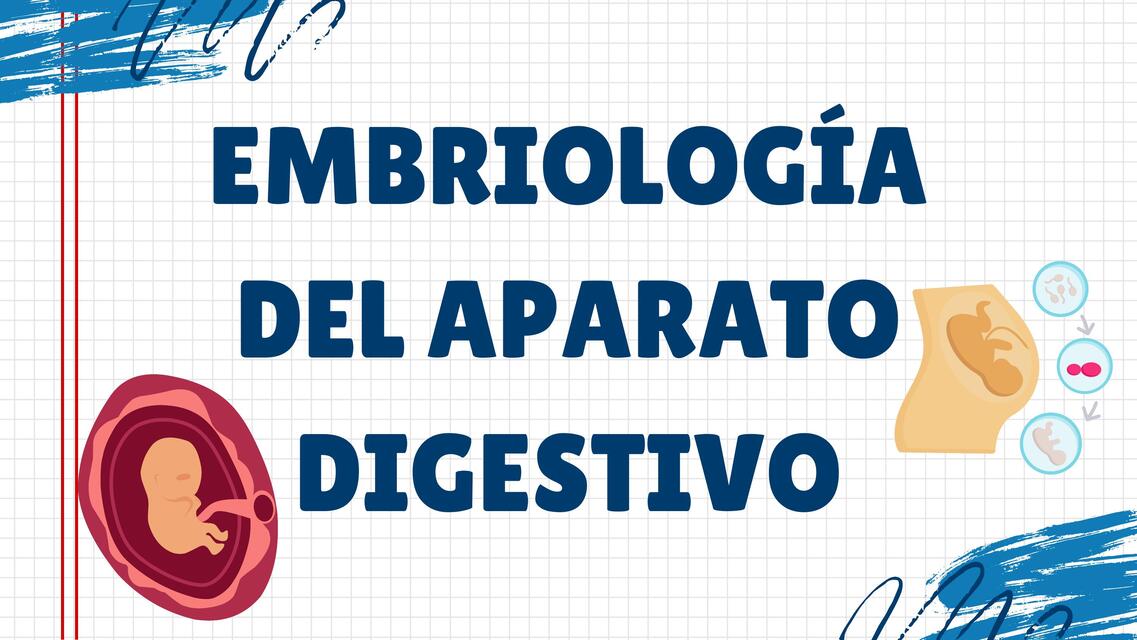 Embriología del aparato digestivo 