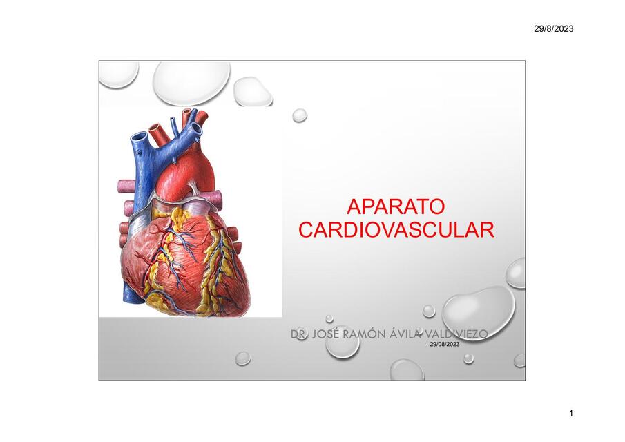 Aparato Cardiovascular 