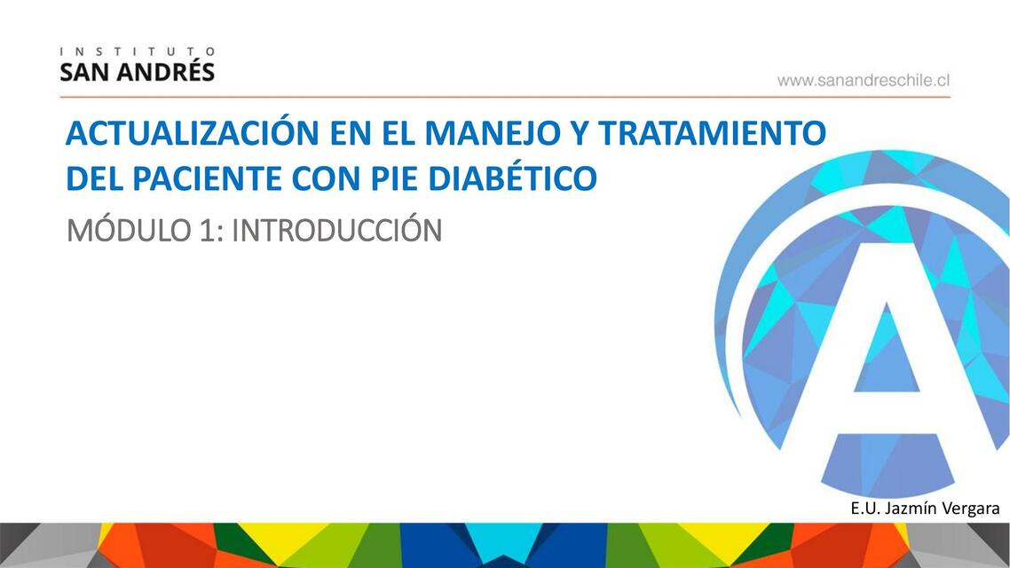 Actualización en el manejo y tratamiento del paciente con pie diabético 