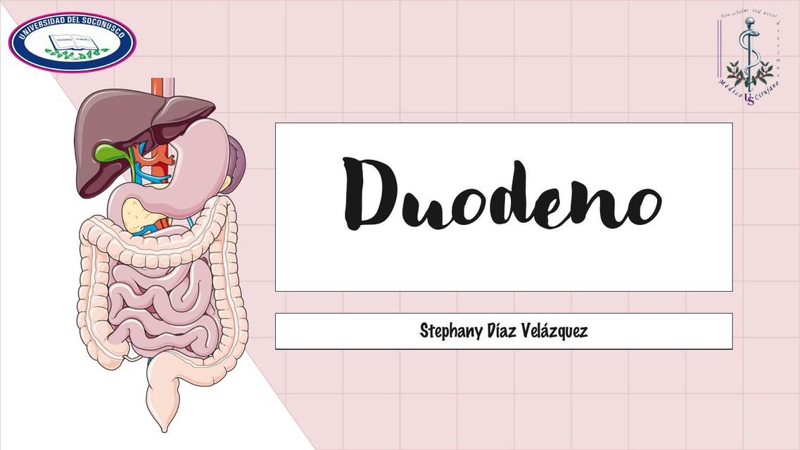 Duodeno 