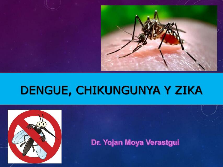 Dengue, Chikunguña y zika 