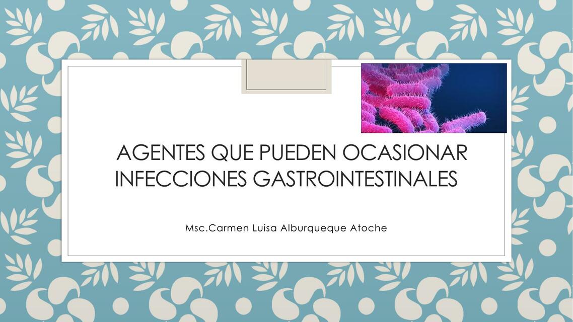 Agentes que Pueden Ocasionar Infecciones Gastrointestinales 