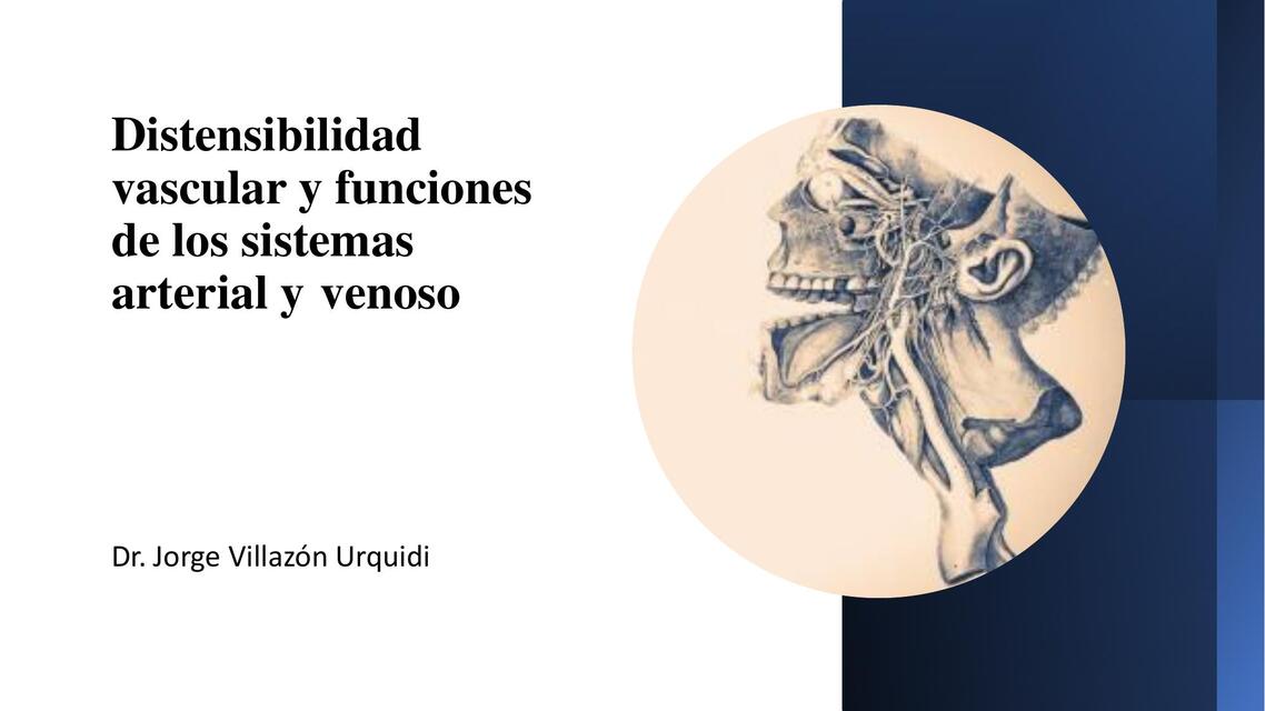 Distensibilidad vascular y funciones de los sistemas arterial y venoso 