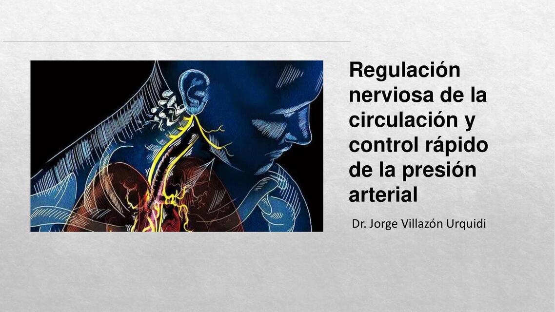 Regulación nerviosa de la circulación y control rápido de la presión arterial 