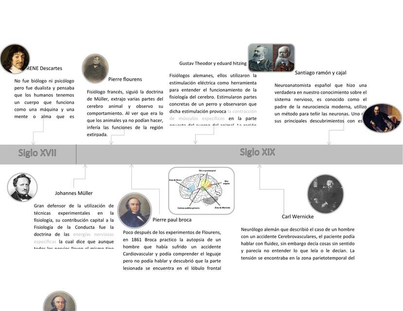 Línea del Tiempo Antecedentes Históricos de Neurociencias