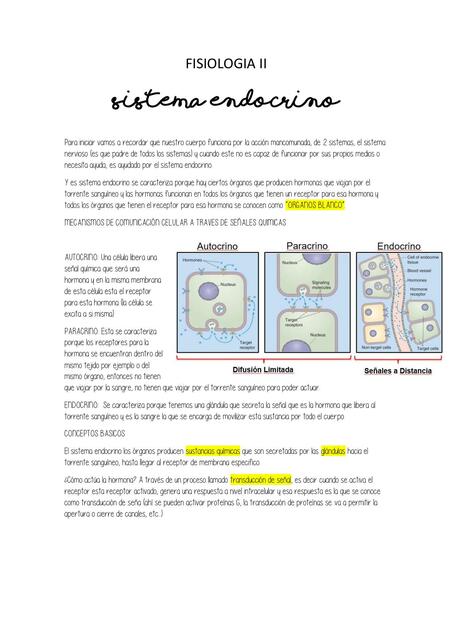 Fisiología sistema endocrino 