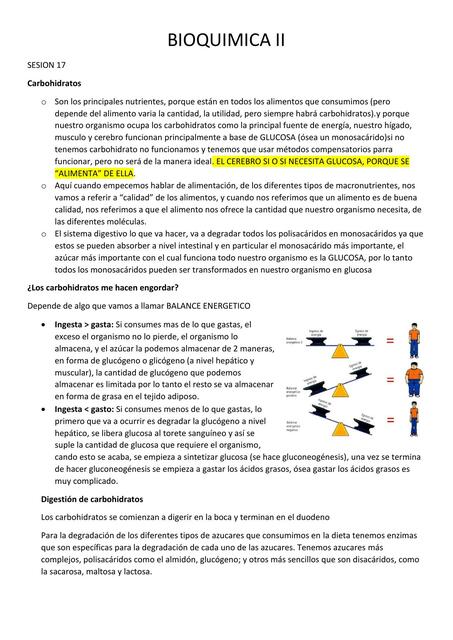 Bioquímica II 