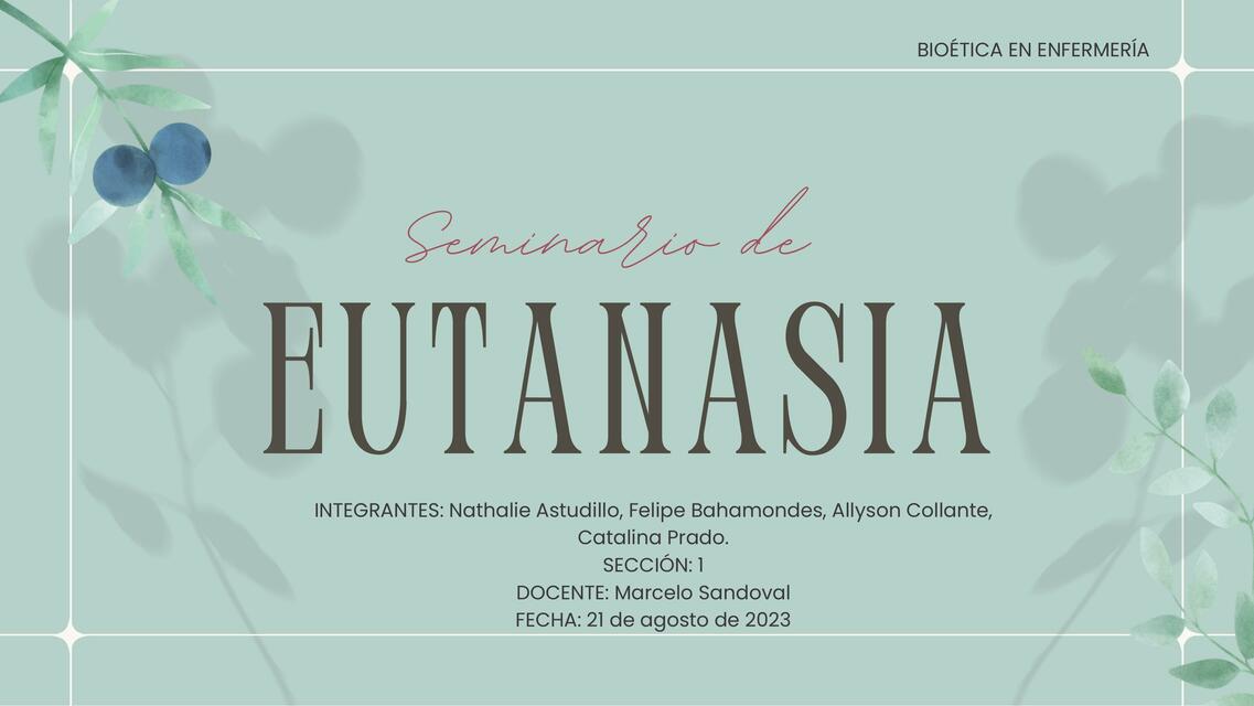 SEMINARIO Eutanasia - Bioética en Enfermería