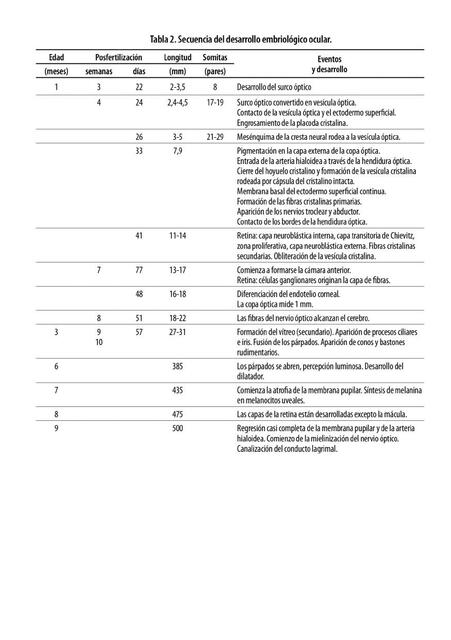 Secuencia del desarrollo embriológico ocular 