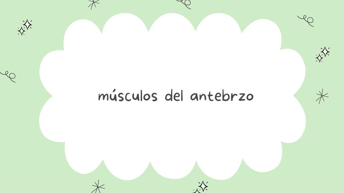 Músculos del antebrazo