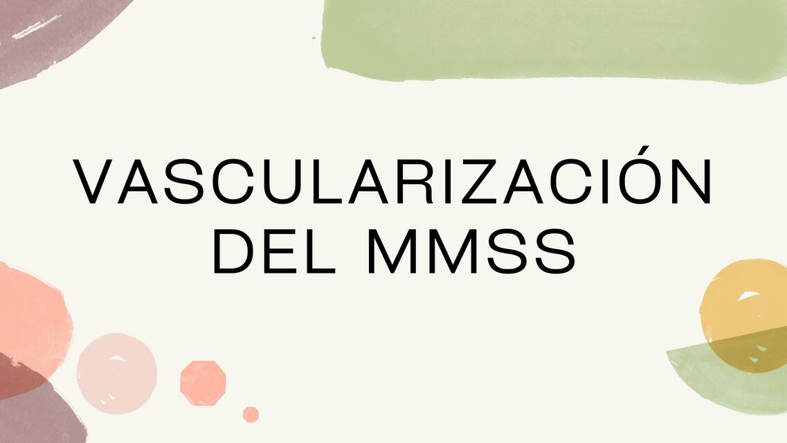 Vascularización del MMSS