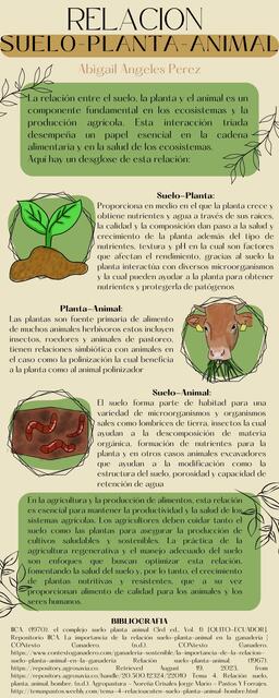 Relación Suelo- Planta- Animal 