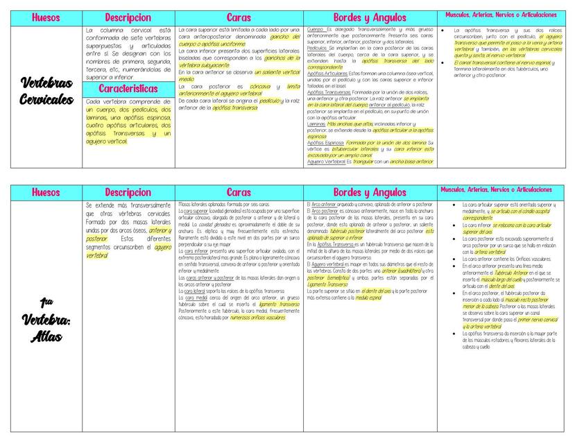 Vertebras Cervicales 
