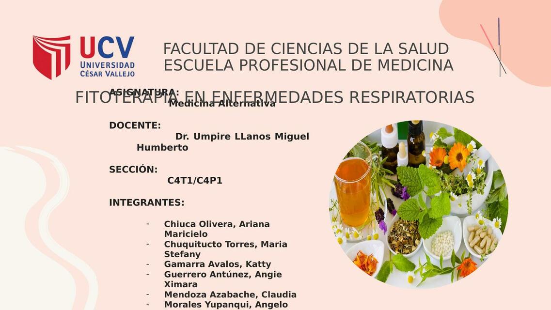 Fitoterapia en enfermedades respiratorias