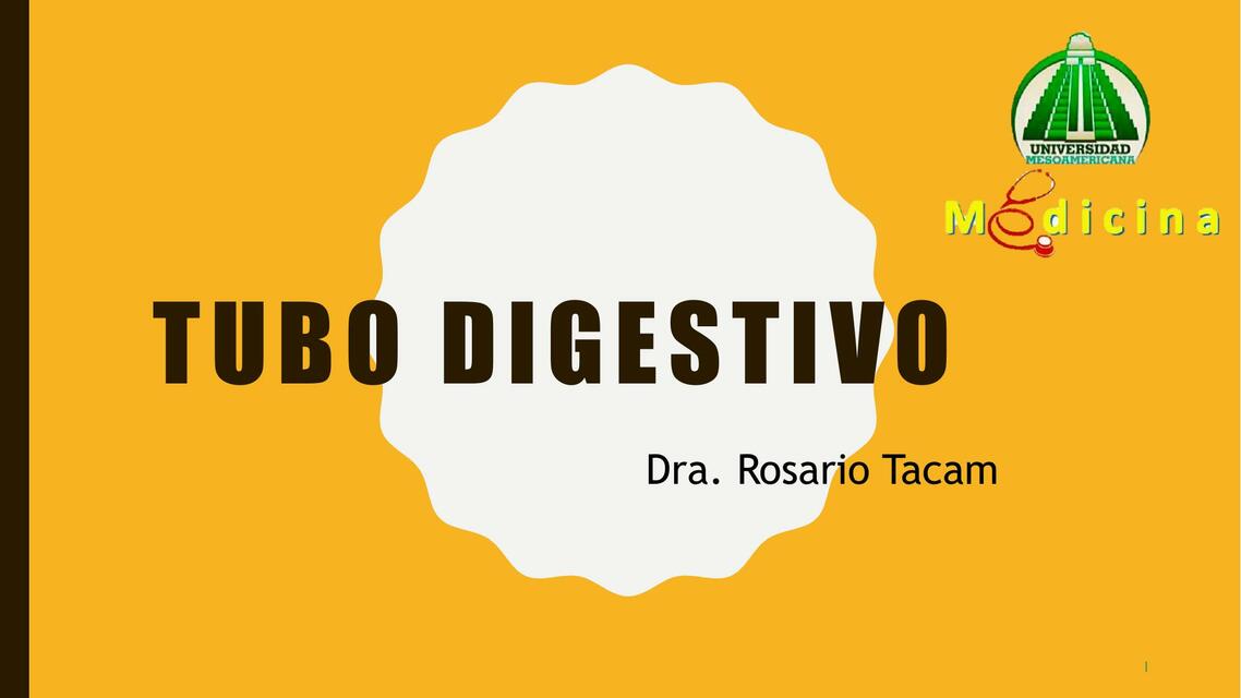 Tubo Digestivo 