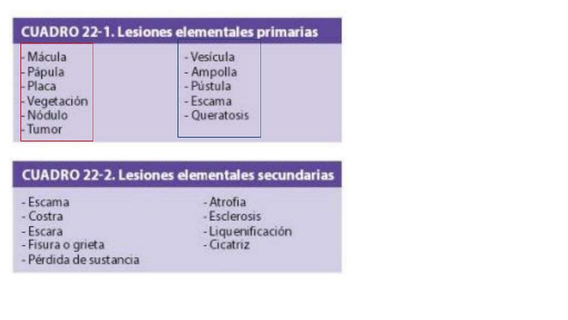 Alteraciones de la piel