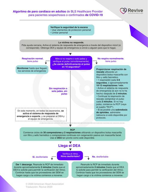 Algoritmo paro cardiaco en adultos 