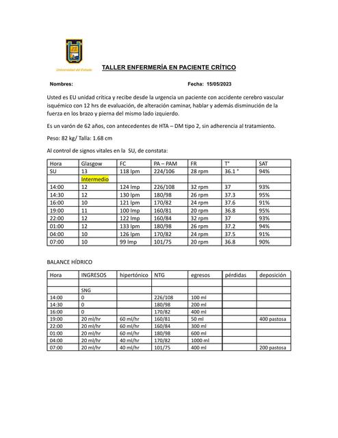 Taller Enfermería en Paciente Crítico 